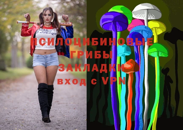 винт Вяземский