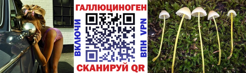 Галлюциногенные грибы мухоморы  мориарти Telegram  Ковров  купить  